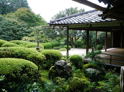日式 庭院 遊龍明珠
